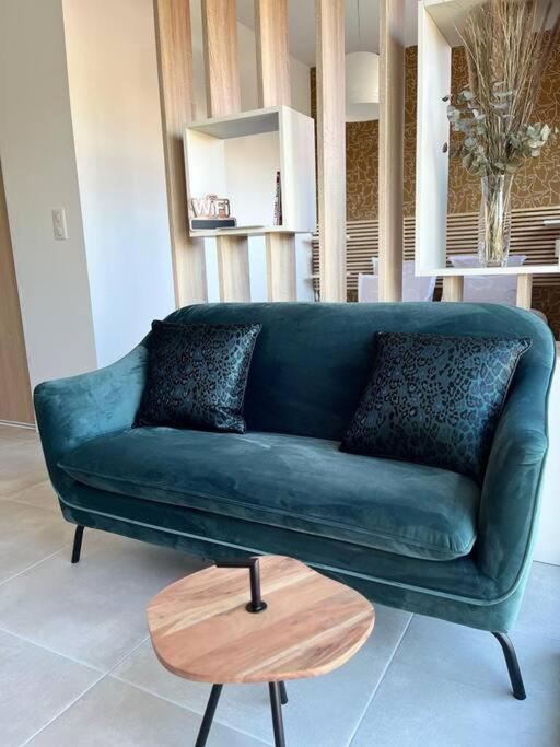 Appartement Centre De Roanne 38M2 エクステリア 写真